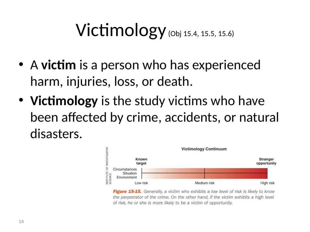 Criminal Profiling 2 Introduction—Vocabulary - slide 14 of 52