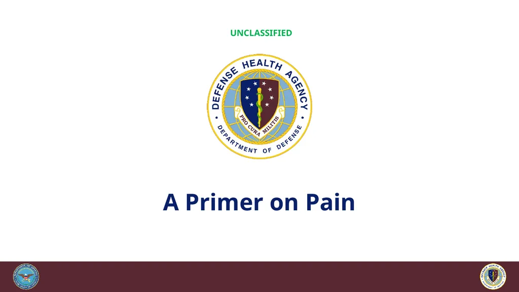 Brief Cognitive Behavioral Therapy for Pain - slide 12 of 178
