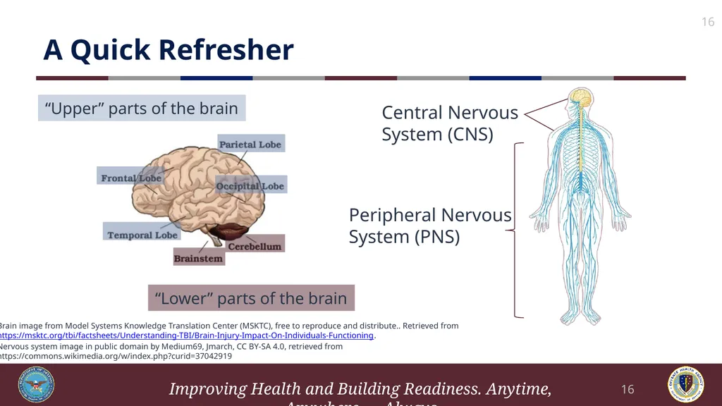 Brief Cognitive Behavioral Therapy for Pain - slide 16 of 178