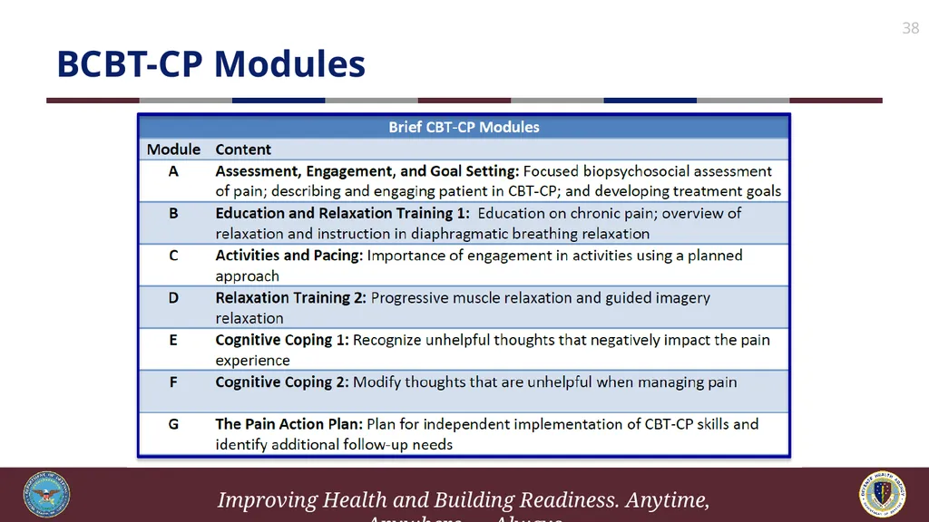 Brief Cognitive Behavioral Therapy for Pain - slide 38 of 178