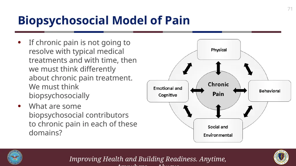 Brief Cognitive Behavioral Therapy for Pain - slide 71 of 178