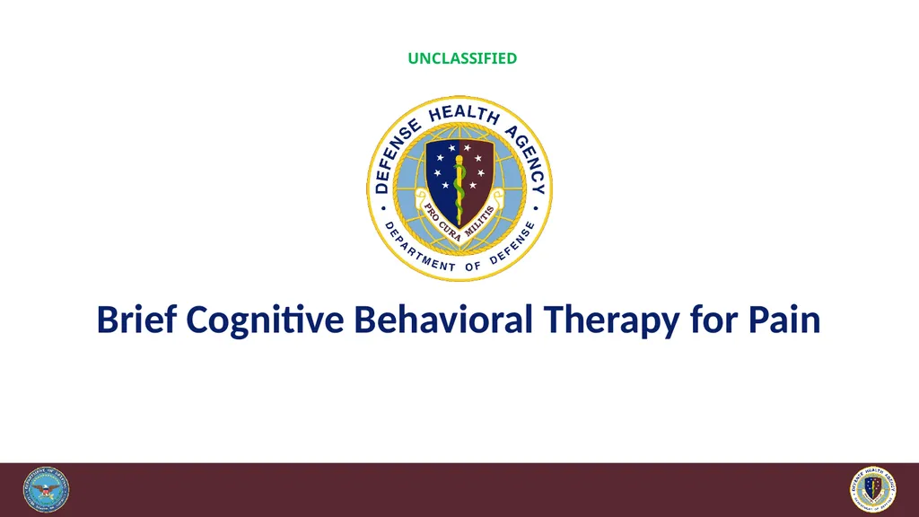 Brief Cognitive Behavioral Therapy for Pain - slide 1 of 178