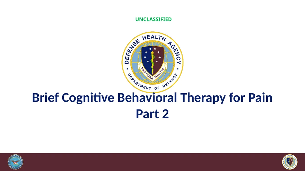 Brief Cognitive Behavioral Therapy for Pain - slide 100 of 178