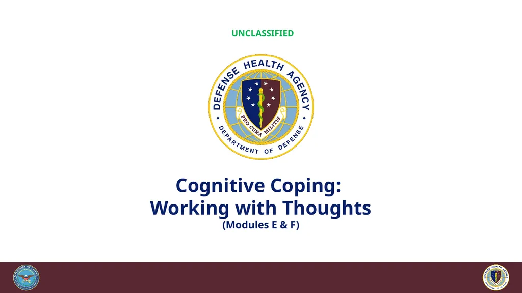 Brief Cognitive Behavioral Therapy for Pain - slide 117 of 178