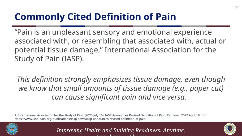 Brief Cognitive Behavioral Therapy for Pain - slide 14 of 178