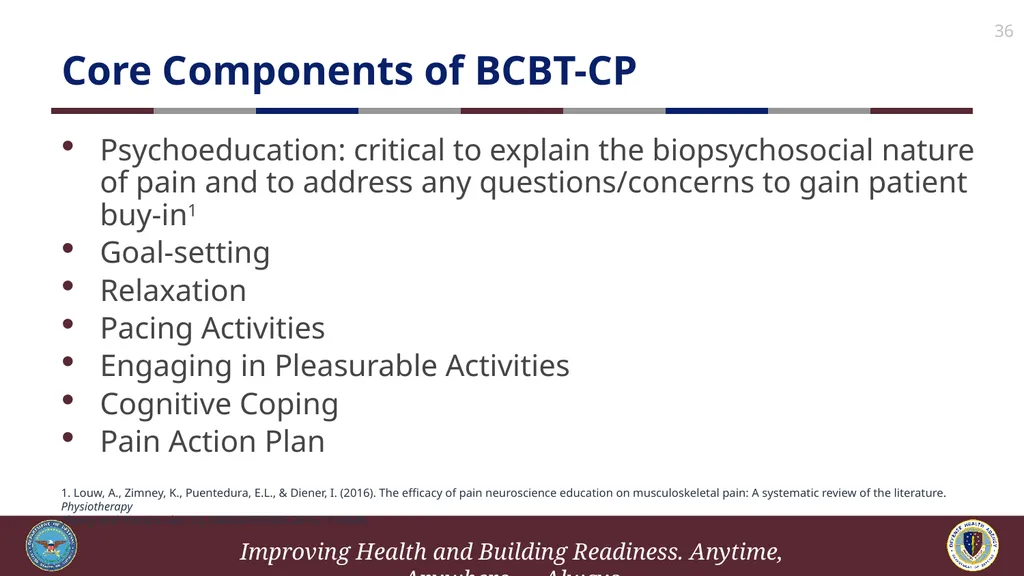 Brief Cognitive Behavioral Therapy for Pain - slide 36 of 178