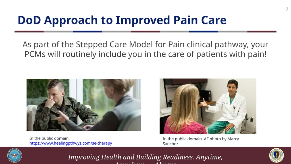 Brief Cognitive Behavioral Therapy for Pain - slide 9 of 178