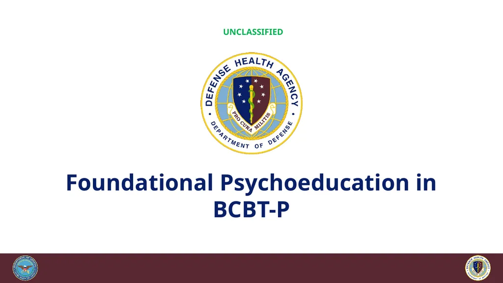 Brief Cognitive Behavioral Therapy for Pain - slide 63 of 178