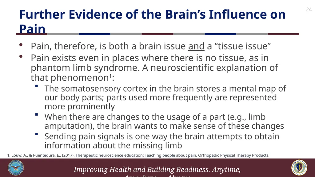Brief Cognitive Behavioral Therapy for Pain - slide 24 of 178