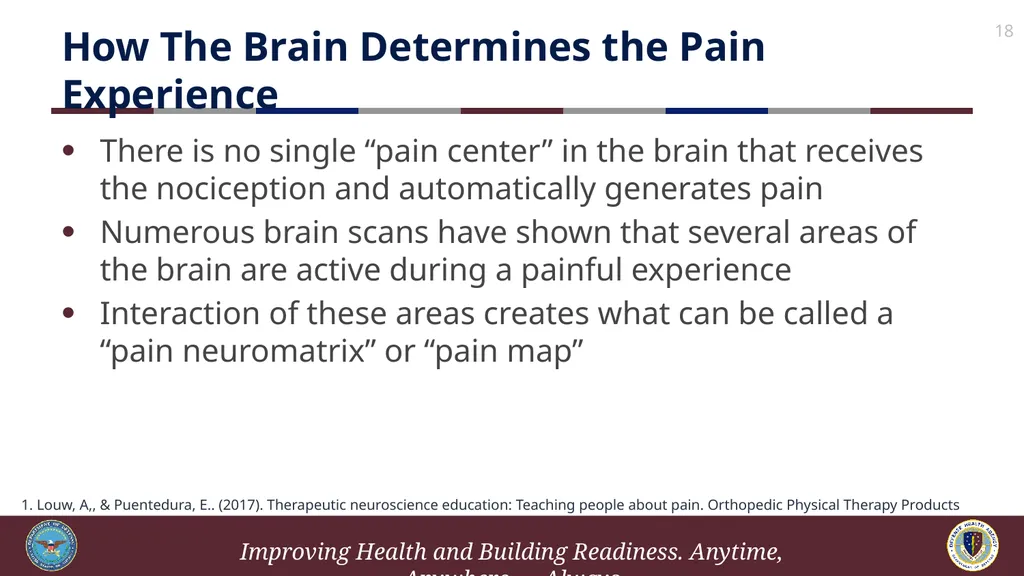 Brief Cognitive Behavioral Therapy for Pain - slide 18 of 178