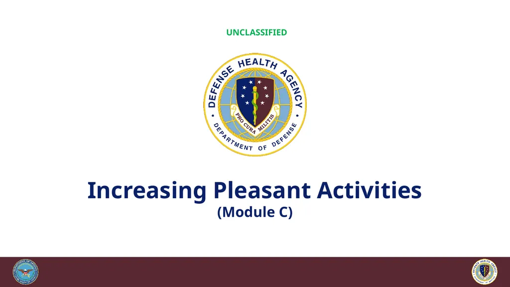 Brief Cognitive Behavioral Therapy for Pain - slide 102 of 178
