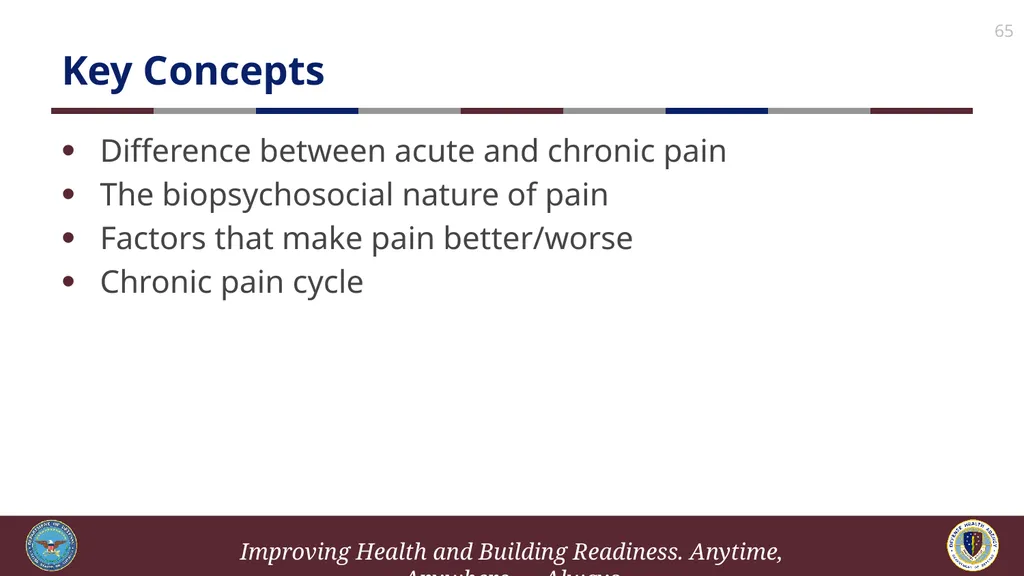 Brief Cognitive Behavioral Therapy for Pain - slide 65 of 178