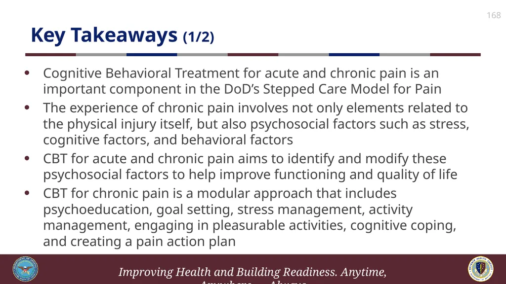 Brief Cognitive Behavioral Therapy for Pain - slide 168 of 178