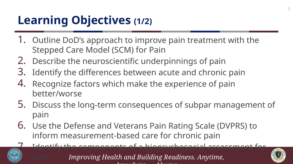 Brief Cognitive Behavioral Therapy for Pain - slide 3 of 178