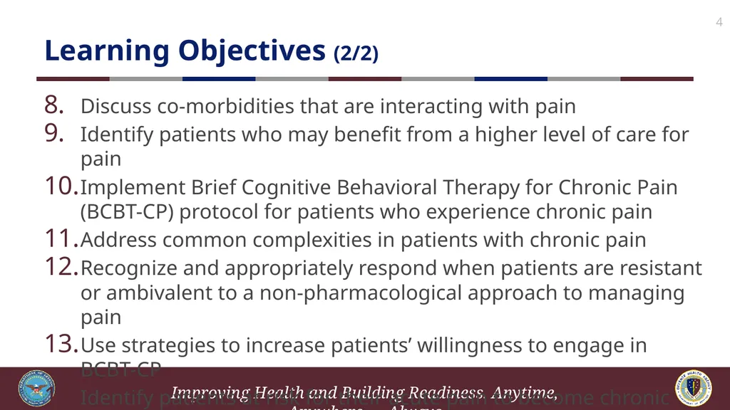 Brief Cognitive Behavioral Therapy for Pain - slide 4 of 178