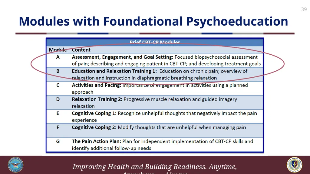 Brief Cognitive Behavioral Therapy for Pain - slide 39 of 178