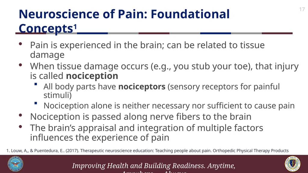 Brief Cognitive Behavioral Therapy for Pain - slide 17 of 178