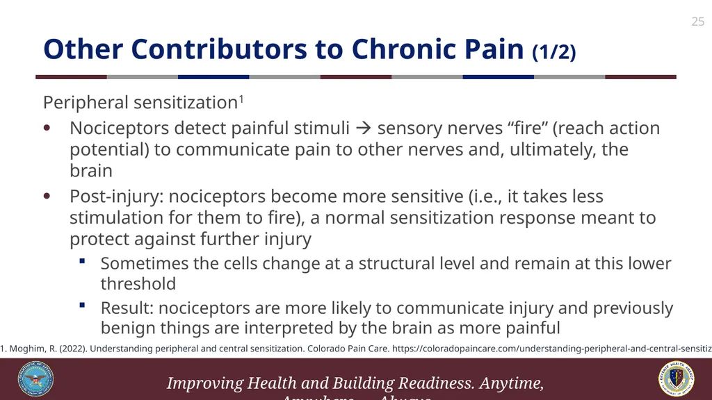 Brief Cognitive Behavioral Therapy for Pain - slide 25 of 178