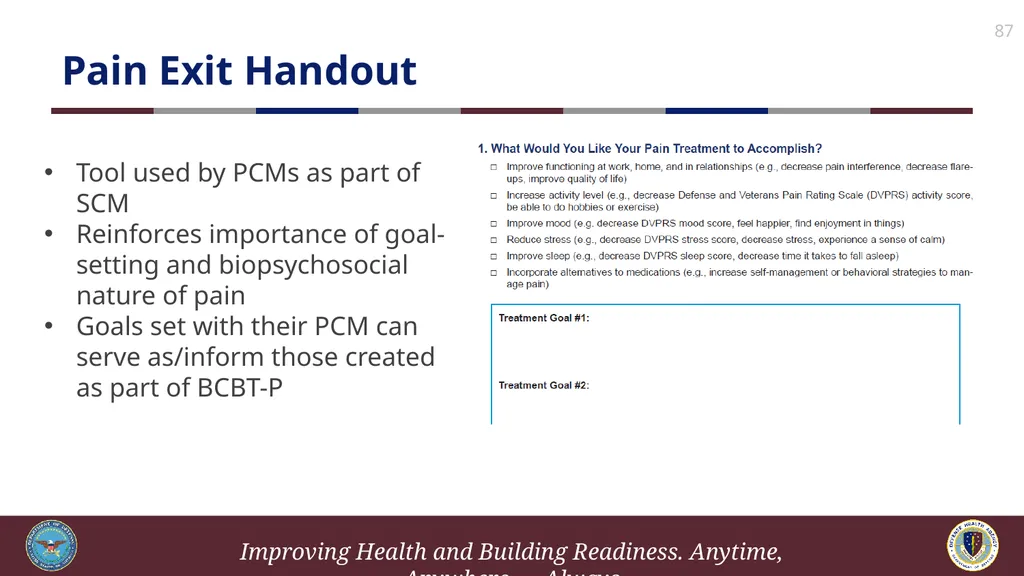 Brief Cognitive Behavioral Therapy for Pain - slide 87 of 178
