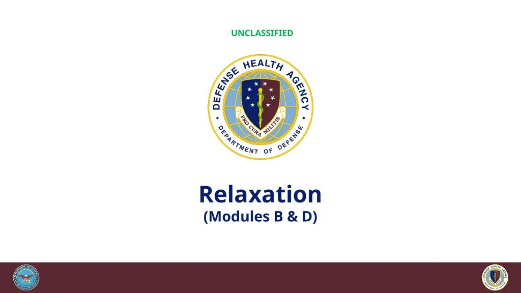 Brief Cognitive Behavioral Therapy for Pain - slide 88 of 178
