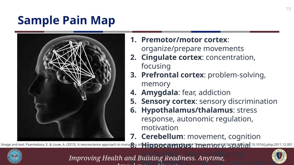Brief Cognitive Behavioral Therapy for Pain - slide 19 of 178
