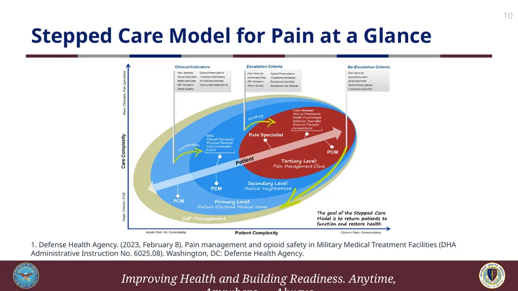 Brief Cognitive Behavioral Therapy for Pain - slide 10 of 178