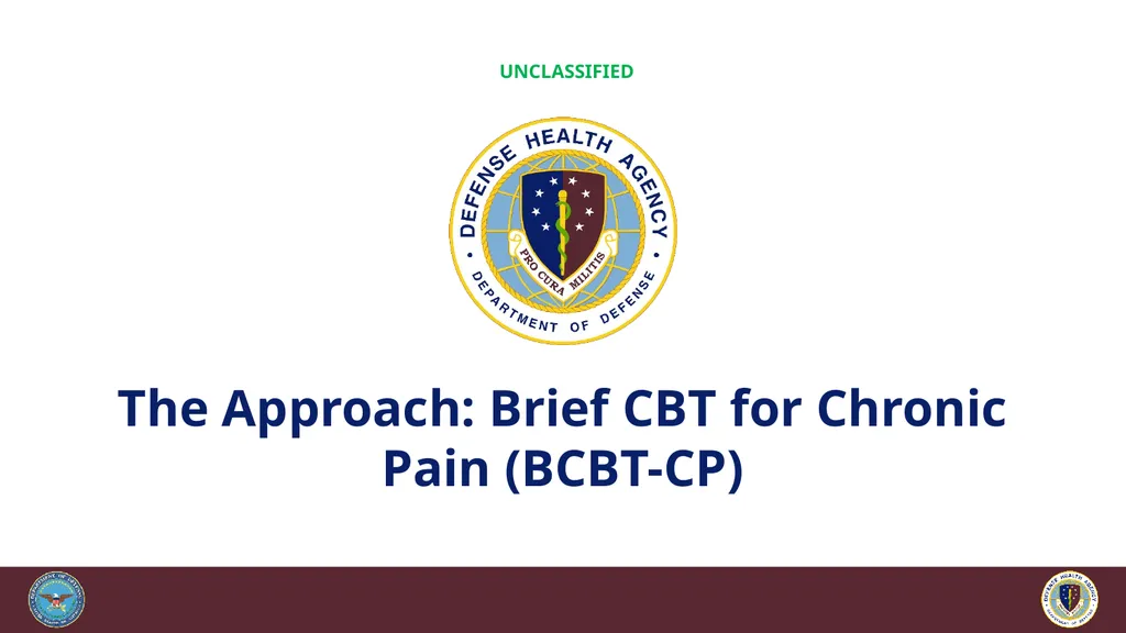 Brief Cognitive Behavioral Therapy for Pain - slide 31 of 178