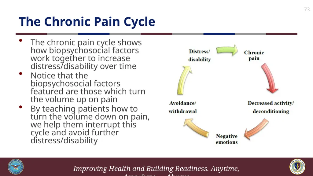 Brief Cognitive Behavioral Therapy for Pain - slide 73 of 178