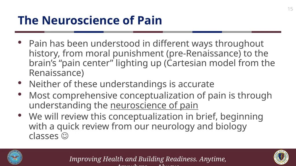 Brief Cognitive Behavioral Therapy for Pain - slide 15 of 178
