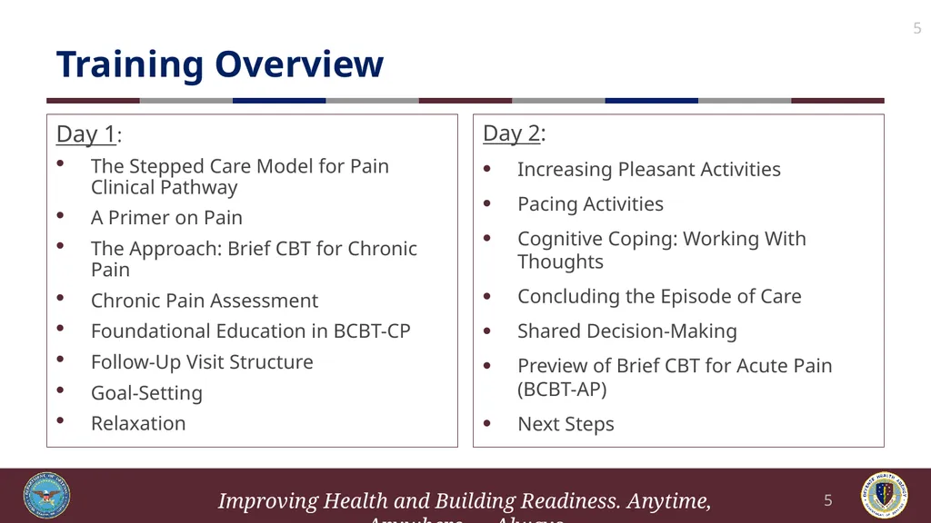Brief Cognitive Behavioral Therapy for Pain - slide 5 of 178