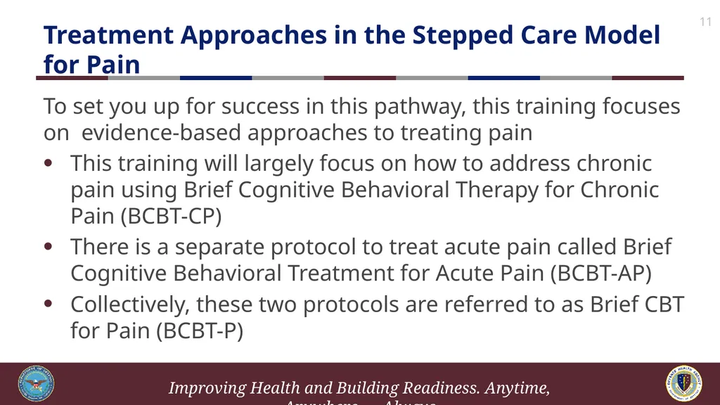 Brief Cognitive Behavioral Therapy for Pain - slide 11 of 178