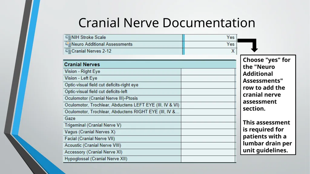 Neurological Assessment Overview By: Aliyah - slide 31 of 49