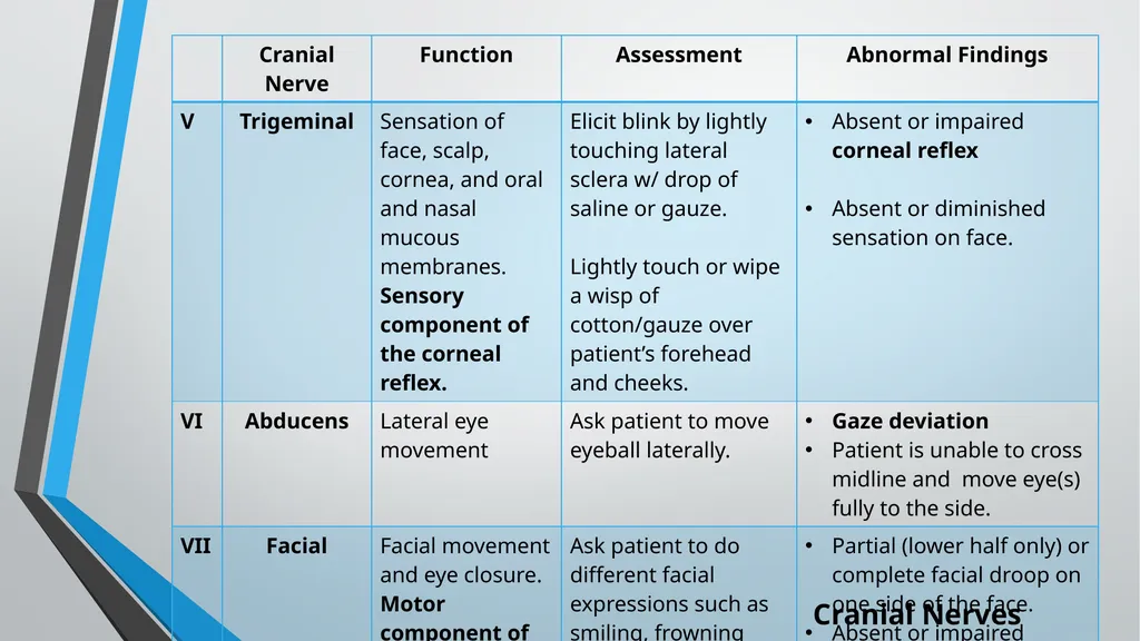 Neurological Assessment Overview By: Aliyah - slide 25 of 49
