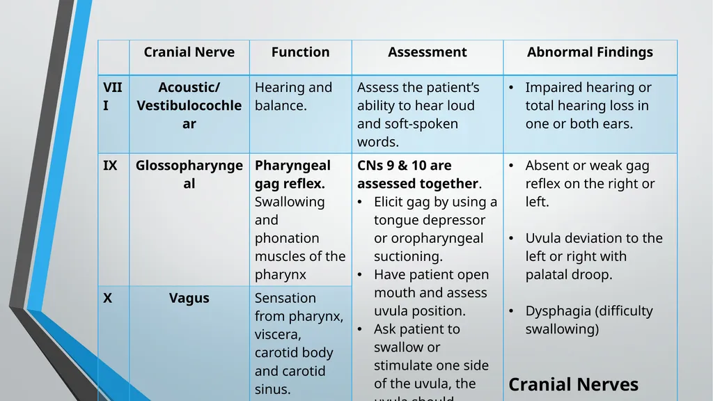Neurological Assessment Overview By: Aliyah - slide 28 of 49