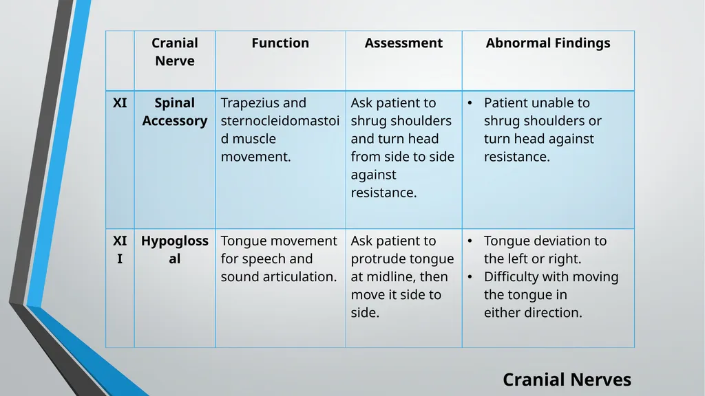 Neurological Assessment Overview By: Aliyah - slide 29 of 49