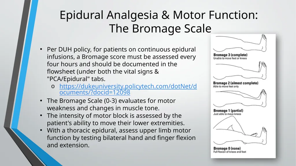 Neurological Assessment Overview By: Aliyah - slide 21 of 49