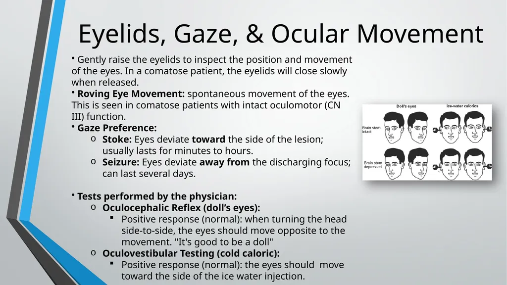 Neurological Assessment Overview By: Aliyah - slide 44 of 49