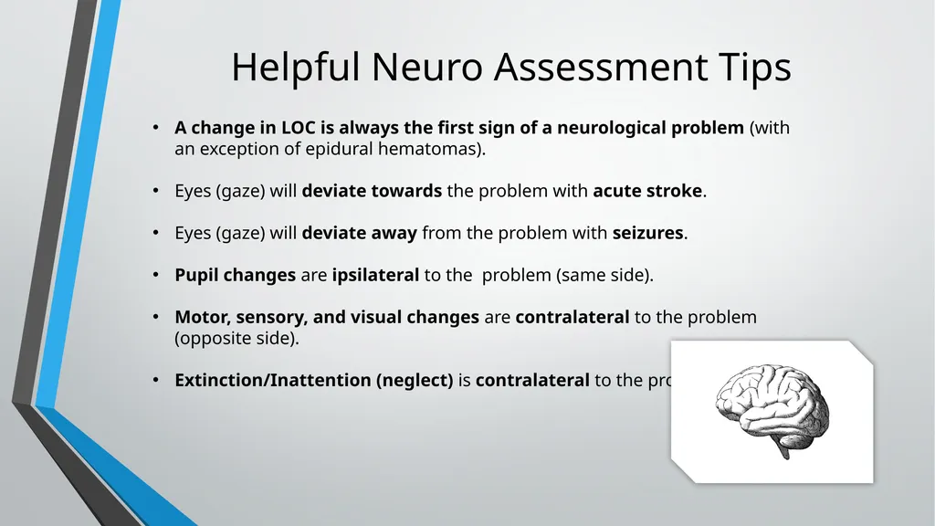 Neurological Assessment Overview By: Aliyah - slide 48 of 49