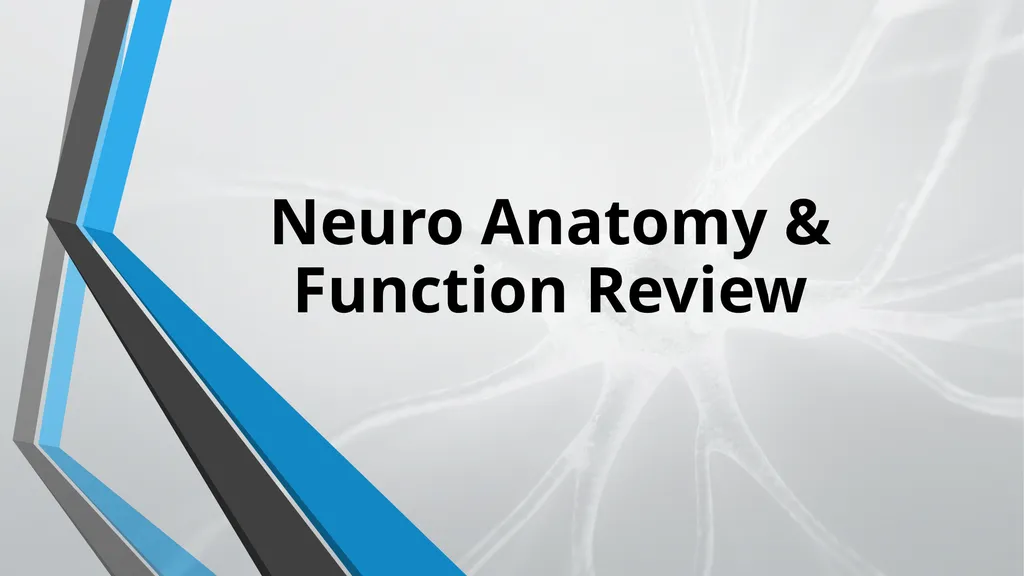 Neurological Assessment Overview By: Aliyah - slide 3 of 49