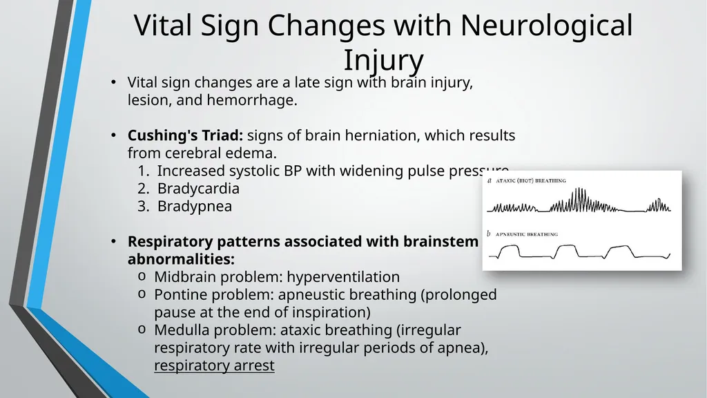 Neurological Assessment Overview By: Aliyah - slide 40 of 49