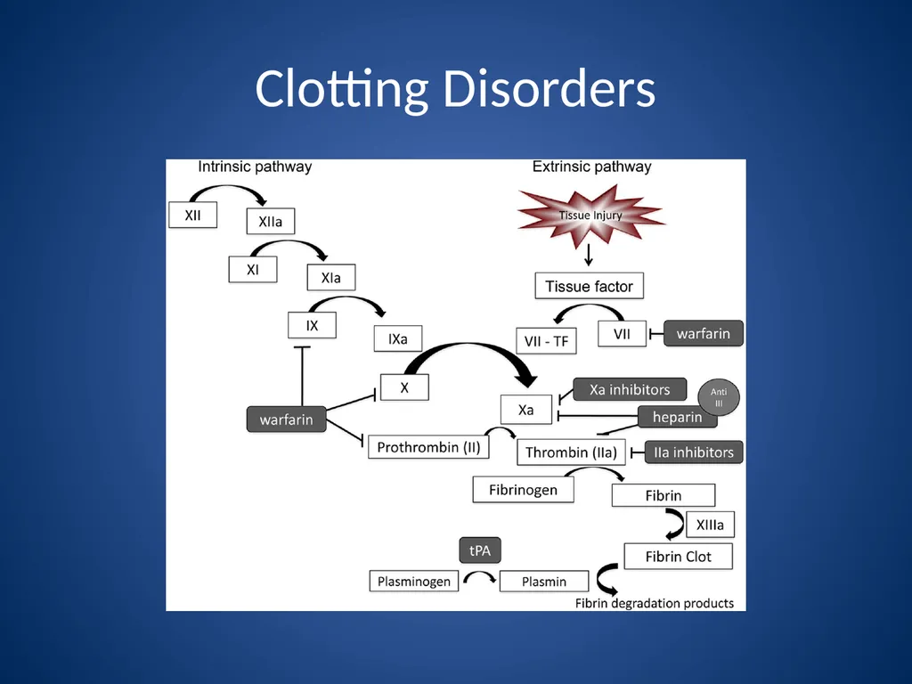 Endocrine and Hematologic Emergencies Patrick - slide 26 of 27