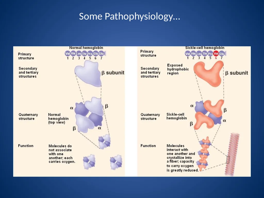 Endocrine and Hematologic Emergencies Patrick - slide 23 of 27
