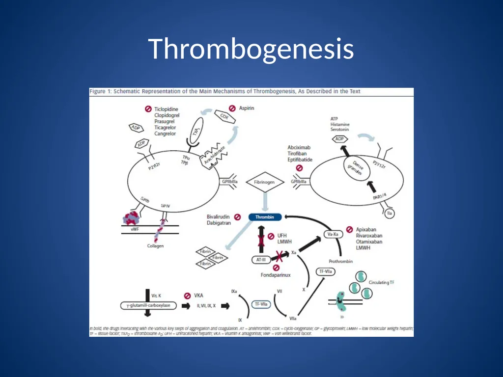 Endocrine and Hematologic Emergencies Patrick - slide 25 of 27