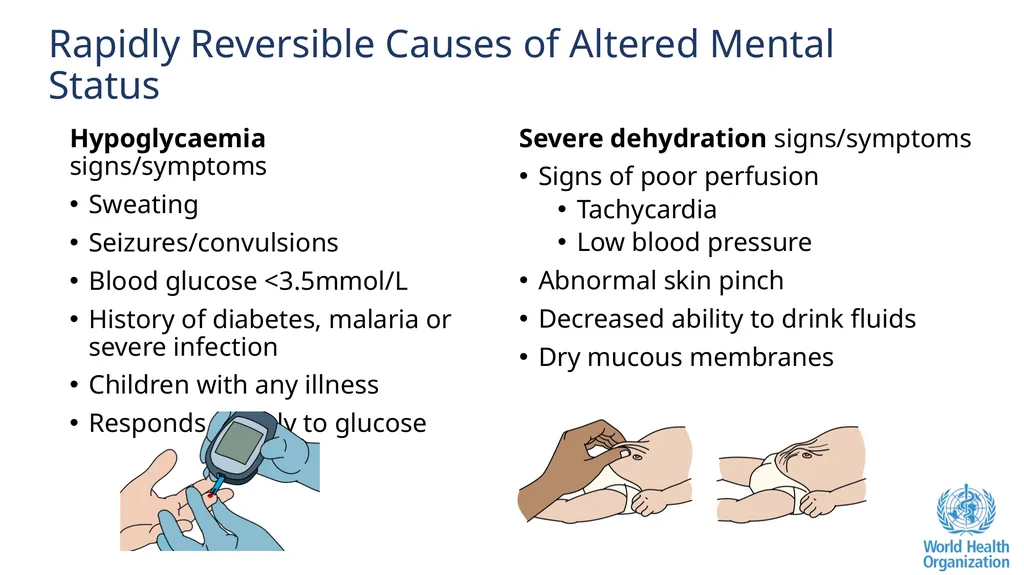 Altered Mental Status Basic Emergency Care Course - slide 41 of 77