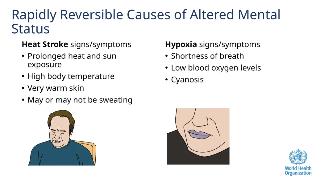 Altered Mental Status Basic Emergency Care Course - slide 42 of 77