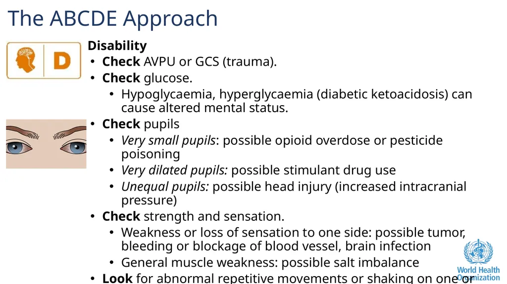 Altered Mental Status Basic Emergency Care Course - slide 8 of 77