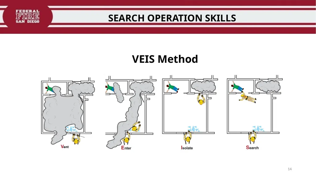 PRIMARY & SECONDARY SEARCH PROCEDURES FFDSD - slide 14 of 24