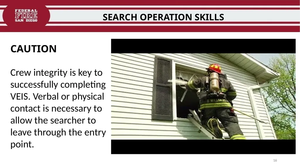 PRIMARY & SECONDARY SEARCH PROCEDURES FFDSD - slide 16 of 24