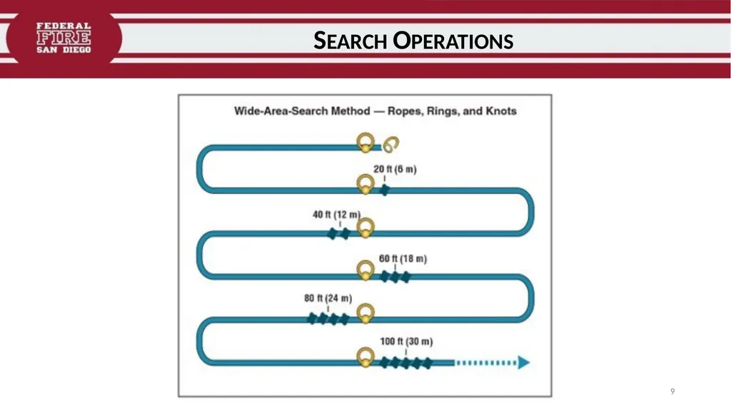 PRIMARY & SECONDARY SEARCH PROCEDURES FFDSD - slide 9 of 24