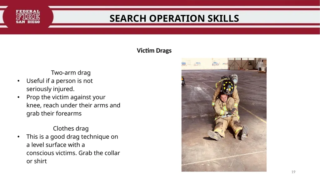 PRIMARY & SECONDARY SEARCH PROCEDURES FFDSD - slide 19 of 24